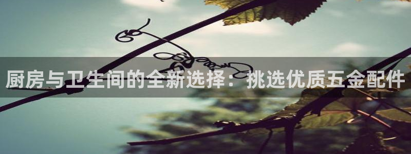 cq9电子后台揭秘