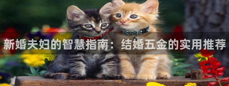 正规cq9电子平台