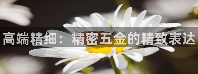 cq9电子免费游戏