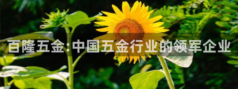 cq9电子是什么