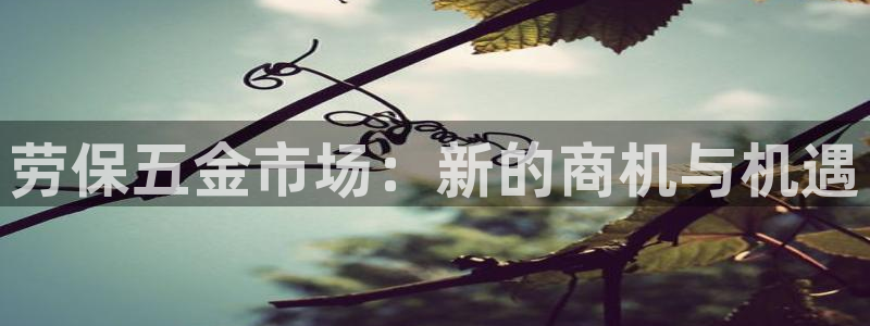 电子游戏cq9不夜城