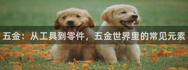 cq9电子娱乐平台
