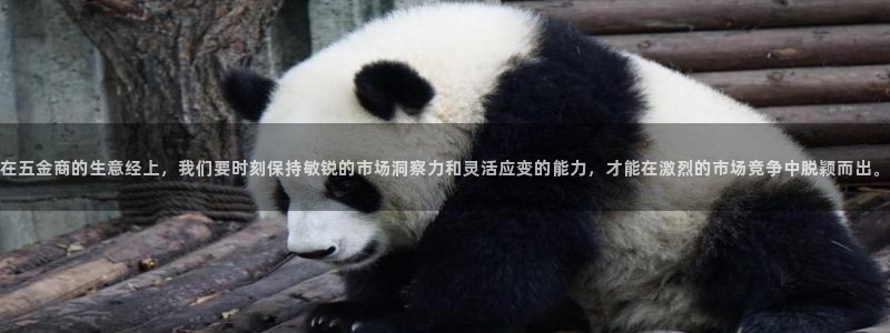 cq9电子宙斯怎么玩