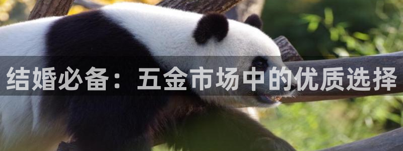 cq9电子手表