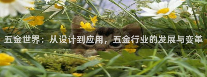 官方版CQ9电子