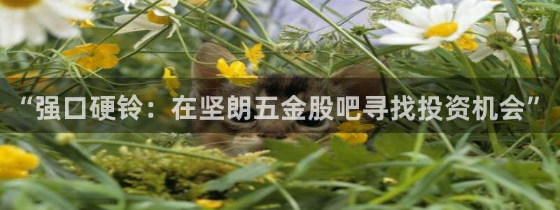 电子cq9精彩视频