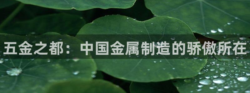 传奇cq9电子舞