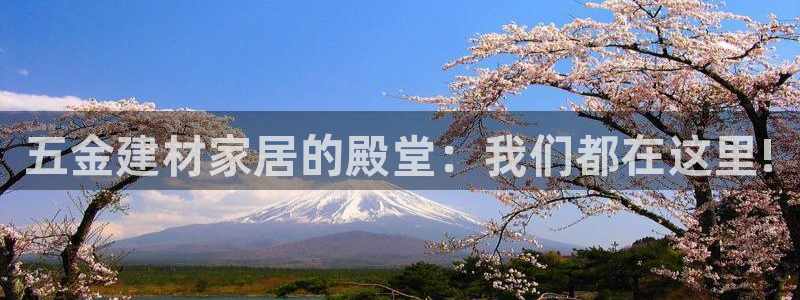 cq9电子好玩吗?