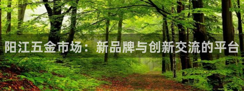 cq9传奇电子维护后