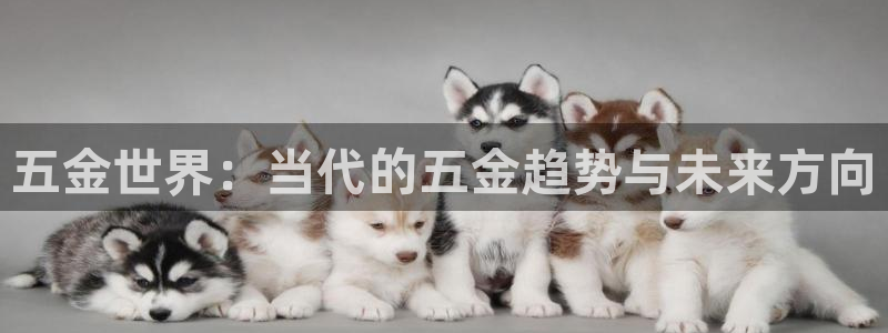 cq9电子资讯大爆料