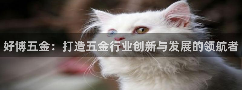 cq9电子足球宝贝