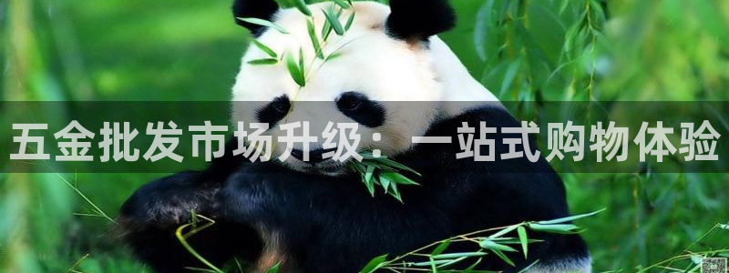 电子cq9体验试玩