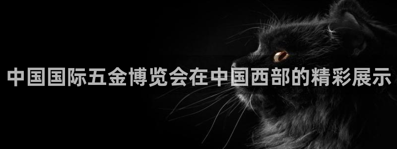 CQ9电子什么意思