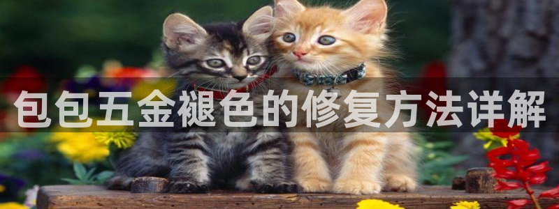 cq9电子辅助功能