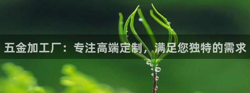 cq9电子有没有后台