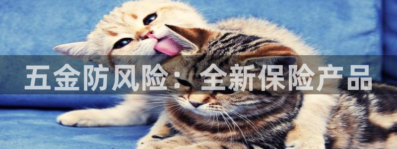 cq9电子开户平台