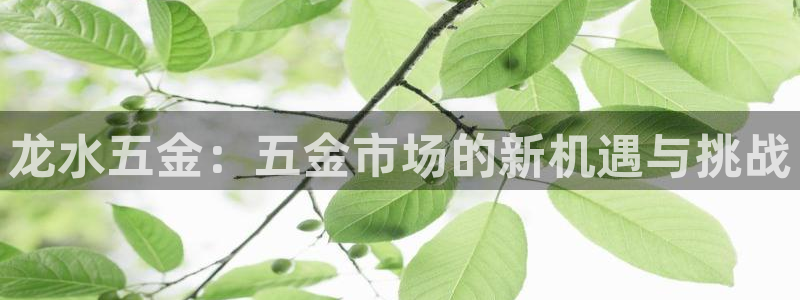 cq9电子游艺平台