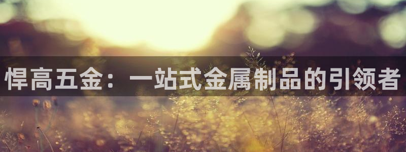 电子cq9玩法技巧