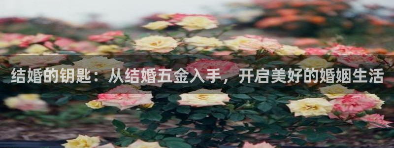 传奇电子cq9火凤凰