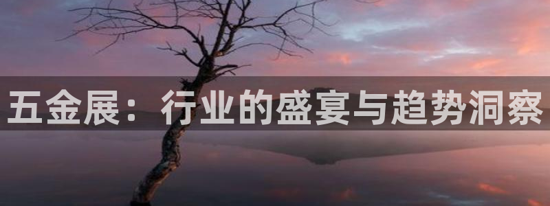 cq9电子火女之王