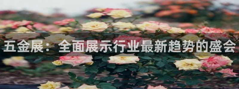 cq9电子板球狂热