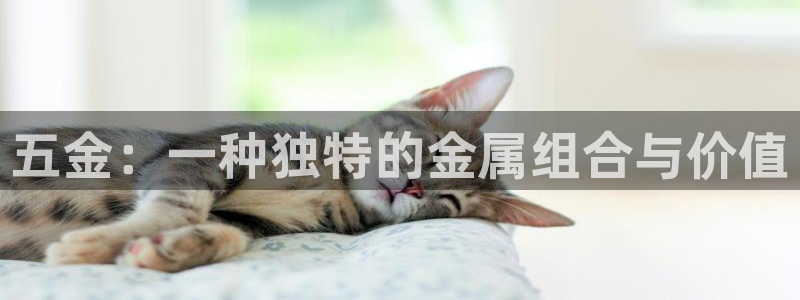 电子cq9跳起来规则