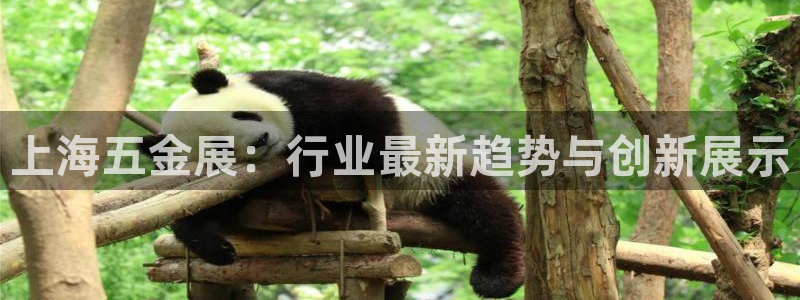 CQ9电子得分如何计算