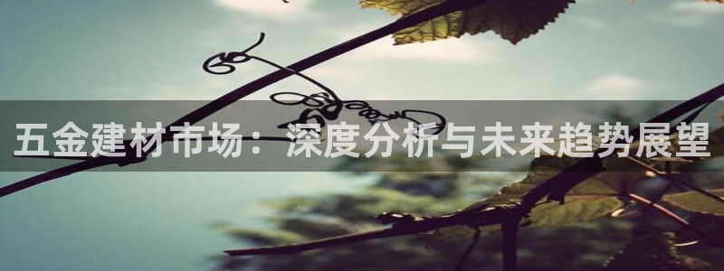 火凤凰cq9电子跳