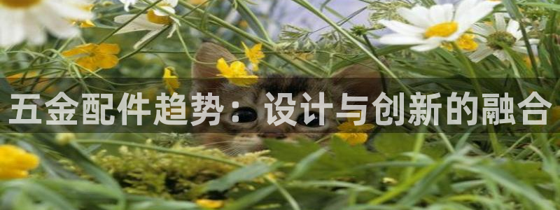 cq9电子都有哪些