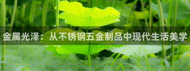 cq9电子实战经验