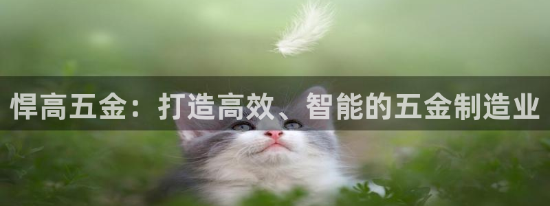 cq9电子飞天财神视频