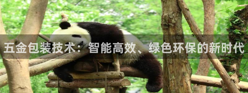 cq9电子维护期间美腿